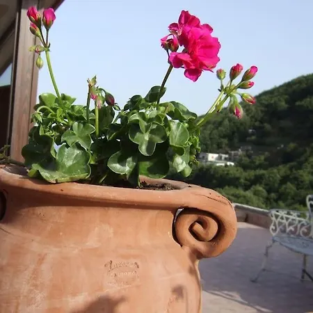 Holiday home De Angelis'home Panoramic Sea View Amalfi Coast Colli di Fontanelle