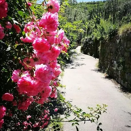 Holiday home De Angelis'home Panoramic Sea View Amalfi Coast *